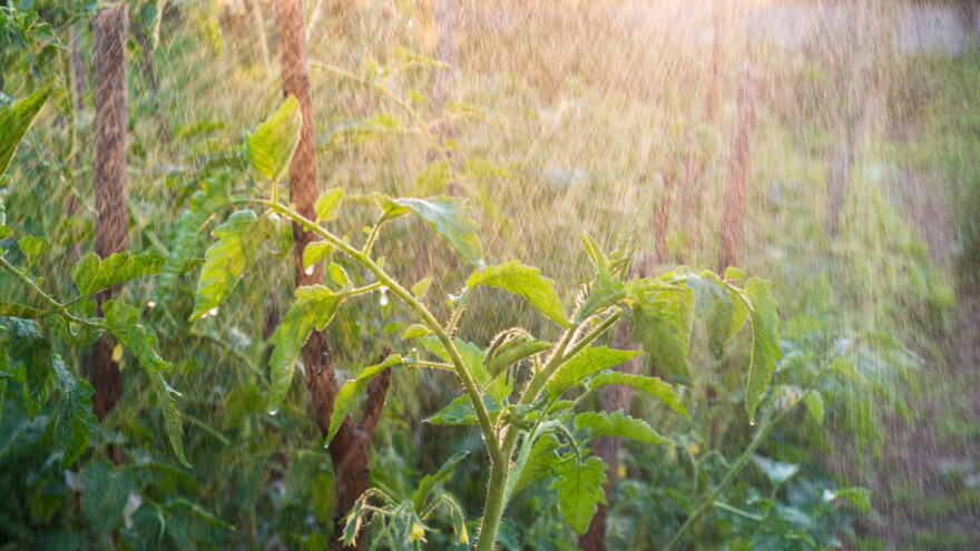 Apel poljoprivrednicima da navodnjavaju parcele - stiže li zahlađenje?