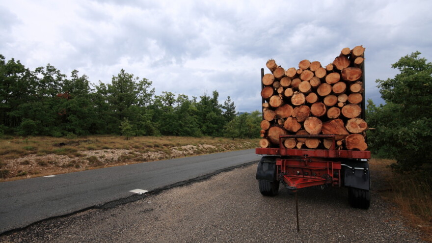 Vlada FBiH dala saglasnost s produženjem zabrane izvoza određenih drvnih sortimenata