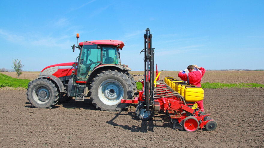Manje sjemenskog kukuruza - potražnja već počela
