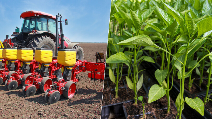 Travanj: Vrijeme je za sjetvu, sadnju, ali i radove u voćnjaku i vinogradu