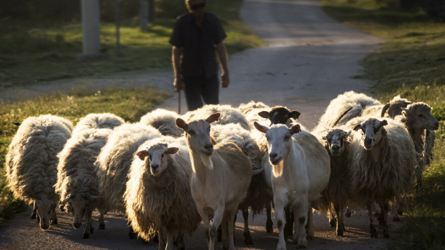 Na račune korisnika uplaćeno više od 10 miliona KM poticaja