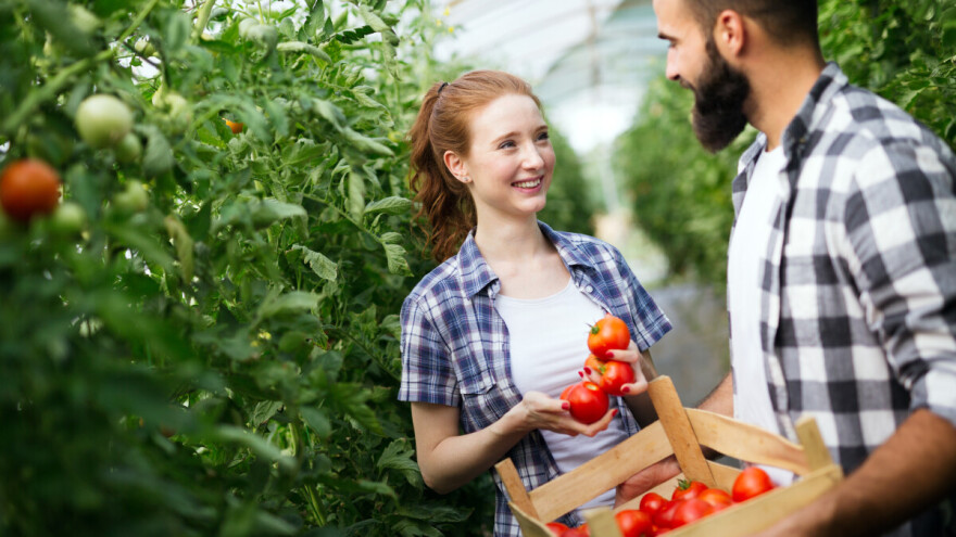 Prijavi se za edukaciju o operativnom funkcioniranju OPG-a i ekološkoj poljoprivredi