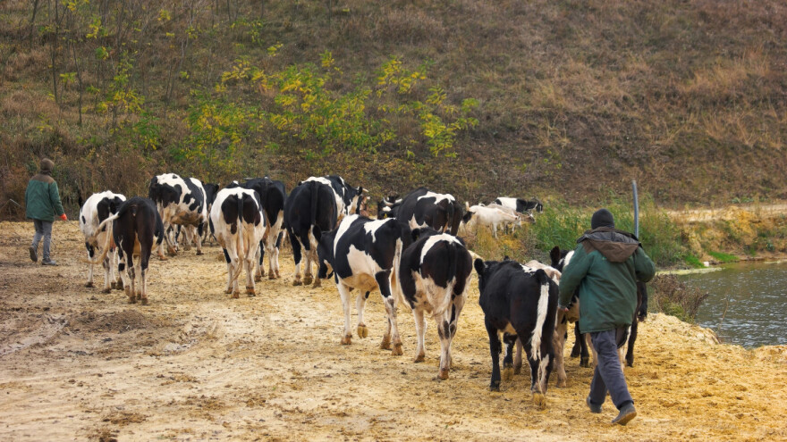 Nije svačije kroz selo pjevati - aplauz samo za poljoprivrednike!