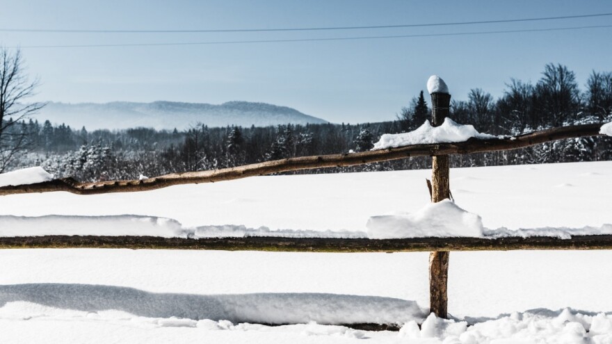 Četiri sela potpuno odsječena - snijeg istjerao divlje konje na cestu
