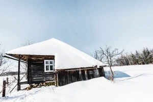 Od druženja, ića i pića pa do imanja na doboš