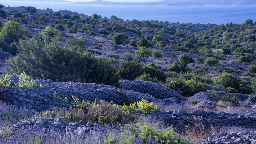 Uskoro program potpore za restauraciju poljoprivrede na zemljištu - kulturnom dobru