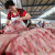Velike promjene u kineskom svinjogojstvu - koliko košta kilogram svinjetine?
