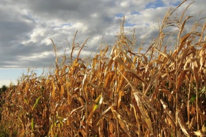 Konferencija o izazovima u poljoprivredi u jeku klimatskih promena