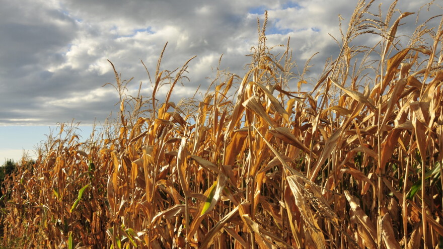 Konferencija o izazovima u poljoprivredi u jeku klimatskih promjena