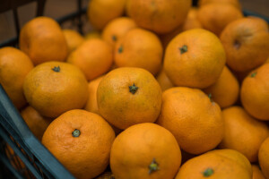 Oprezno s mandarinama, opet "pala" pošiljka na granici zbog pesticida