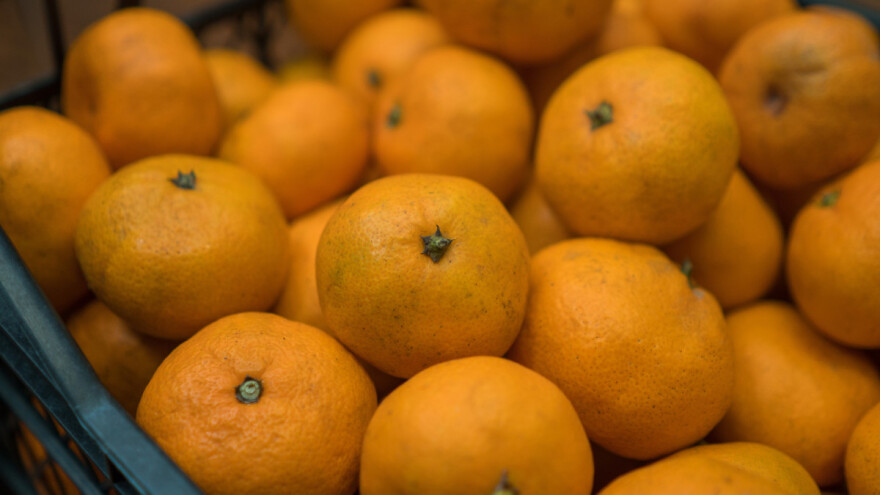 Oprezno s mandarinama, opet "pala" pošiljka na granici zbog pesticida