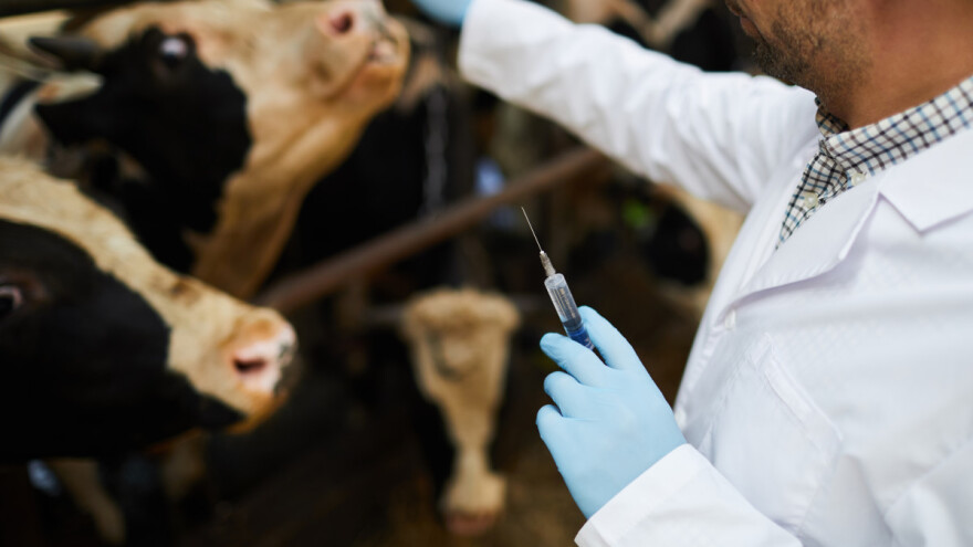 Za veterinarstvo u FBiH ove godine 2,7 miliona KM