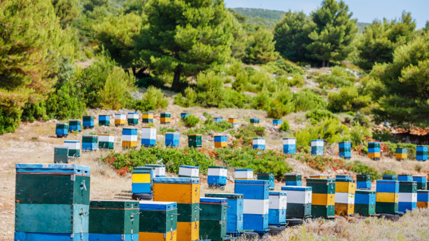 Društvo "Naše ptice" donira pet električnih ograda za zaštitu pčelinjaka