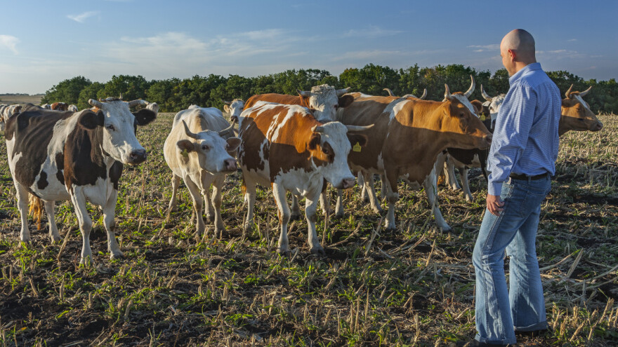 U planu formiranje Nacionalnog udruženja proizvođača mleka