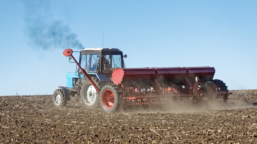 Koliko će ove godine da nas košta setva pšenice?