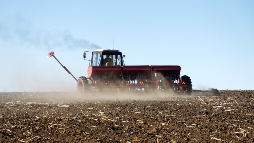 Da li je kasno sada posejati pšenicu?