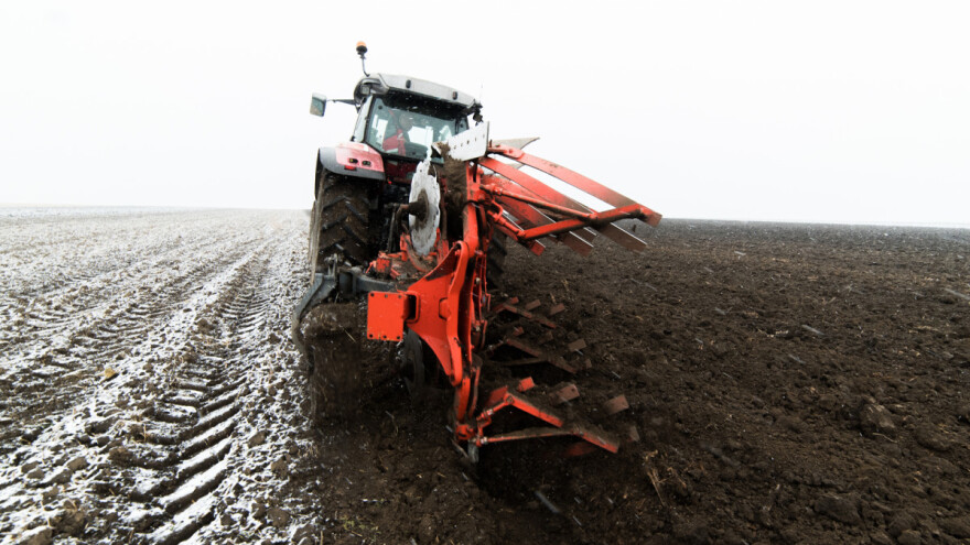 Priprema tla za kukuruz: Što kada zakasnite s oranjem?