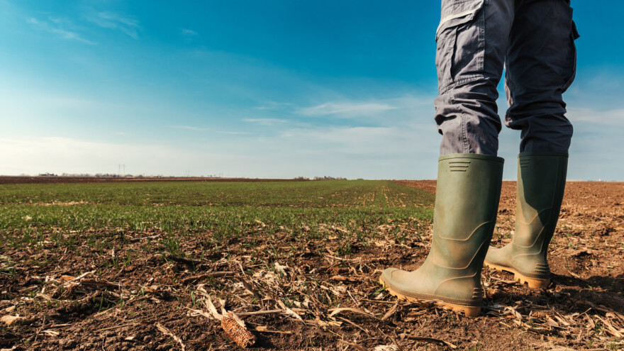 Jane Zelikova: Gubimo plodno zemljište pod nogama neverovatnom brzinom