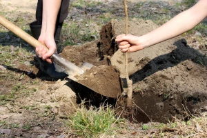 Osposobljavanje mladih za rad u poljoprivredi, poticaji za najuspješnije