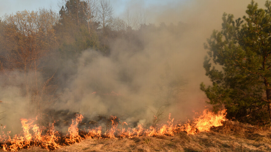 Veliki požar u Gradačcu zahvatio njivu, voćnjak i šumu