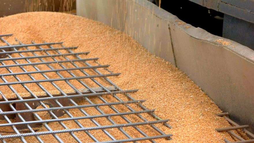 Cijene žitarica: Turbulencije na tržištu se nastavljaju