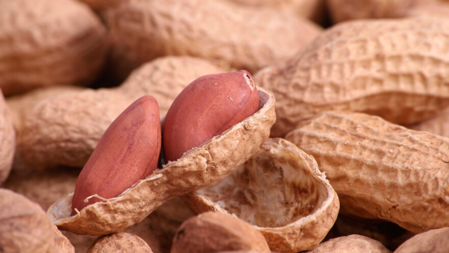 Carina na kikiriki smanjena na dva procenta