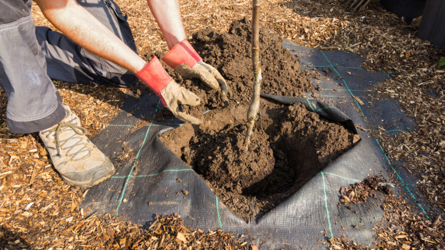 Oznake, pečaćenje i pakiranje reprodukcijskog materijala i sadnica voća