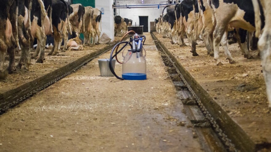 Farmeri traže revidiranje otkupne cijene mlijeka!