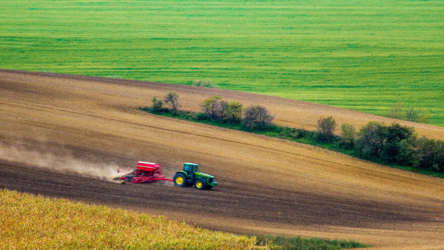 Žitarice: Globalna proizvodnja, upotreba i trgovina imaju silazni trend?