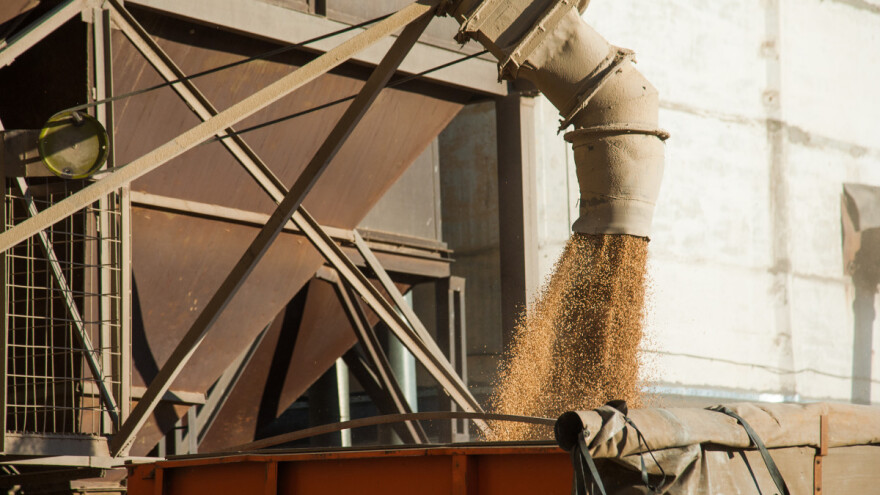 Nemirno na tržištu žitarica i uljarica - kako stoje cijene?
