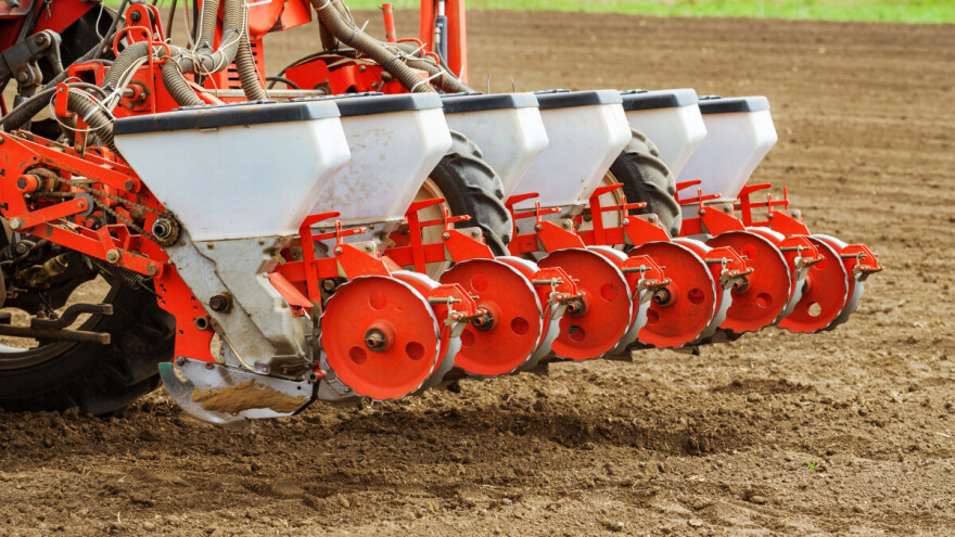 Na pragu sjetve suncokreta: Dobri predusjevi su strnjine i kukuruz