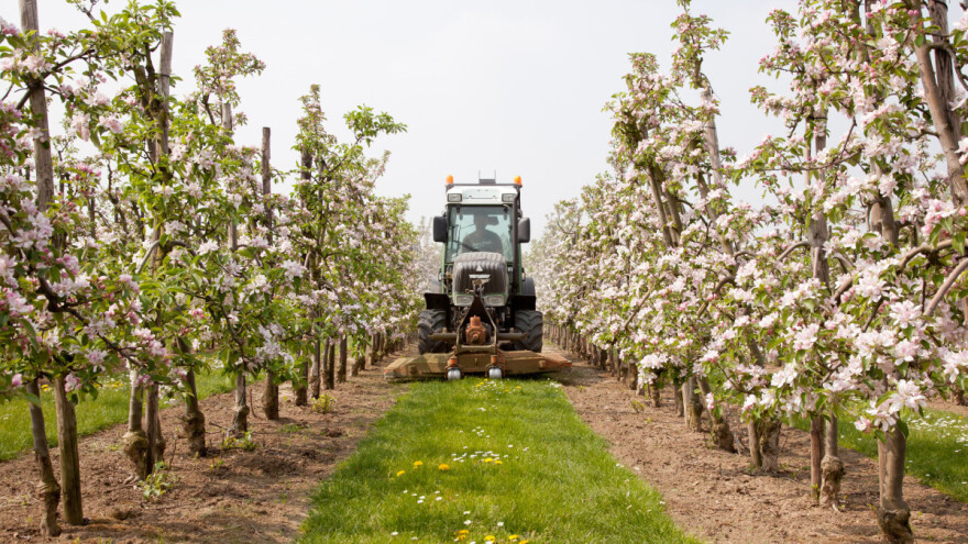 Petina samozaposlenih u EU radi u poljoprivredi