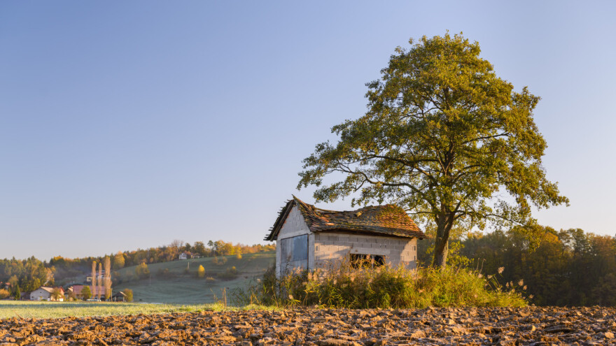 Pada broj farmi: U 15 godina manje ih je za 5,3 milijuna