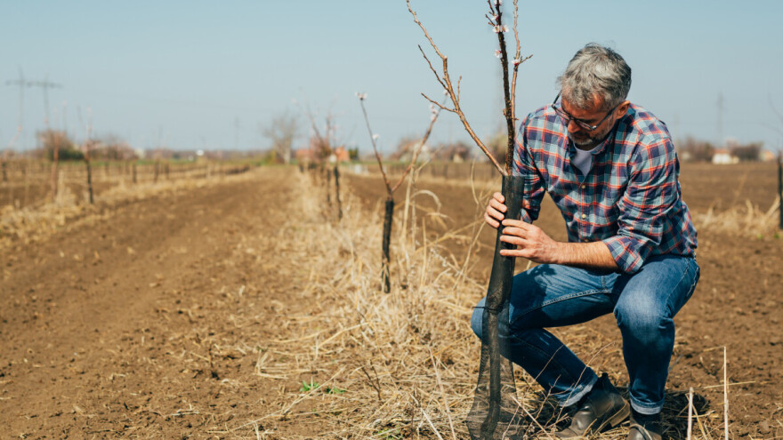 Otvoreno 16 javnih poziva za potpore u poljoprivredi i ruralnom razvoju