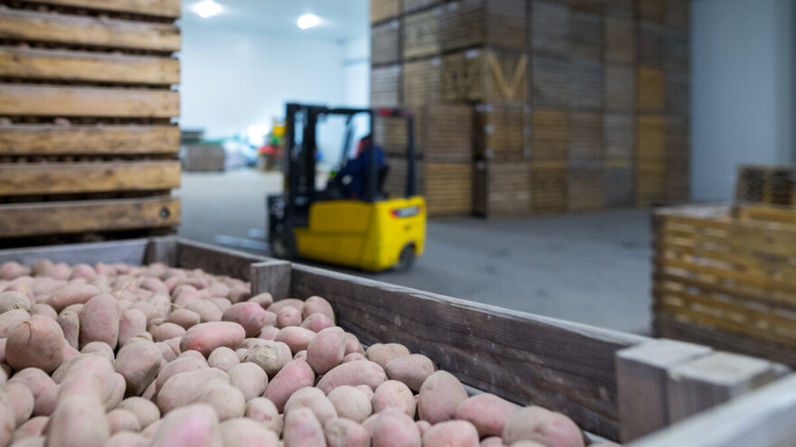 Zabranili uvoz 50 tona krompira - neprihvatljiv za ljudsku upotrebu