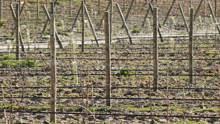 Za navodnjavanje u Vojvodini - 15 miliona evra od EBRD-a