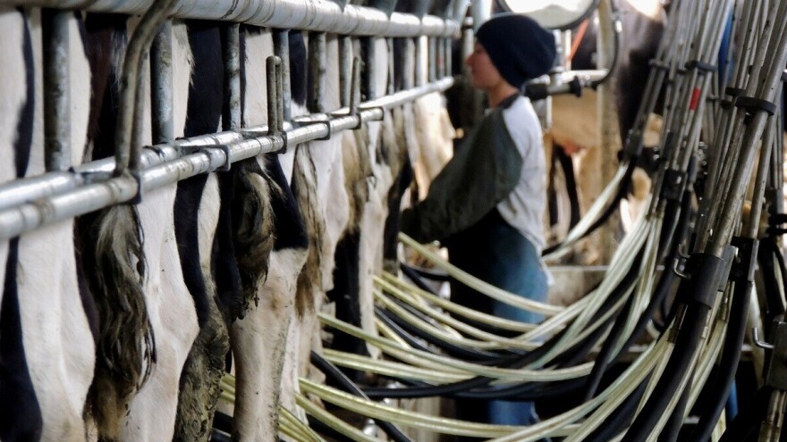 Održavanje mašine za mužu krava