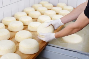 Za male proizvođače Livanjskog sira obezbjeđen lakši plasman