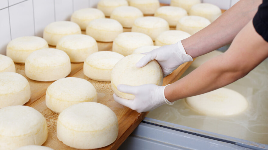 Javni poziv: Dodjela mini sirana za proizvođače sira, prednost nezaposlenima