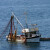 Državne kvote za ribolov plavoperajne tune su u javnom savjetovanju