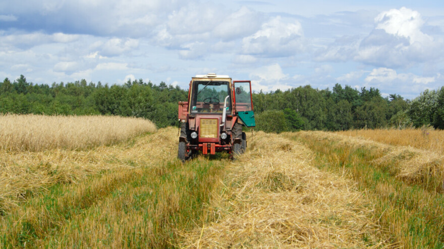 Kakav je uticaj poljoprivredne proizvodnje na privredni rast