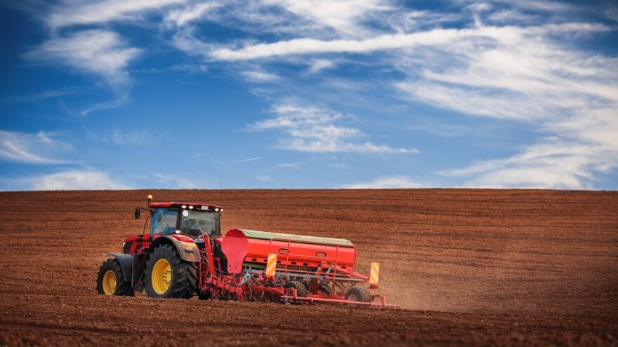 Bliži se sjetva uljane repice - na što treba da pazite?