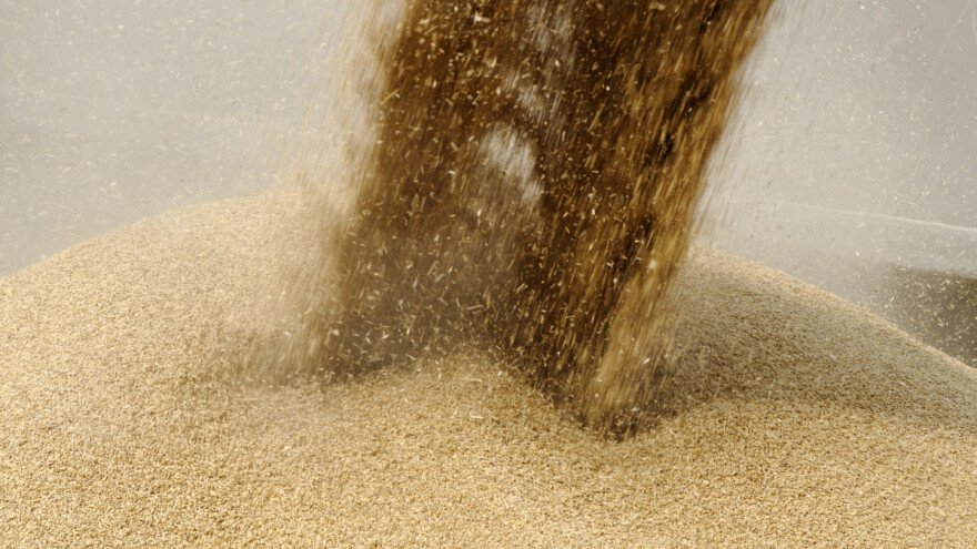 [Agroklub] Ponovo dostupne informacije o tržišnim cenama žitarica i uljarica