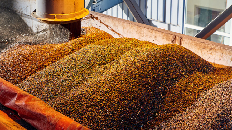 Priljev ukrajinskih žitarica je velik - EK tvrdi da radi na rješenju