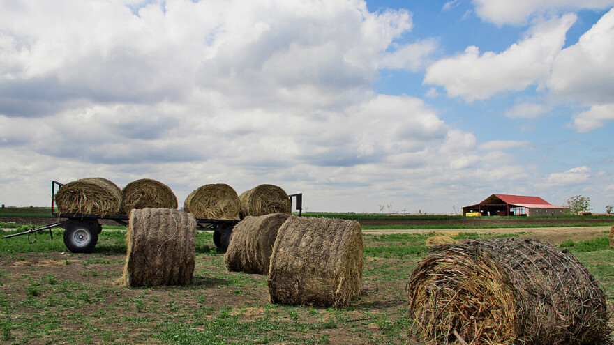 Bezdan - selo u koje se ljudi vraćaju