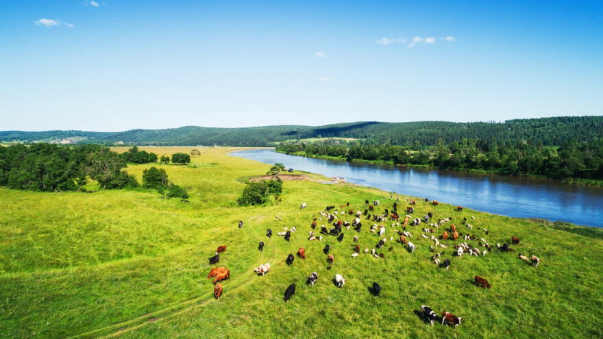Učinkovito stočarstvo: Satelitske snimke dat će informacije o kvaliteti pašnjaka