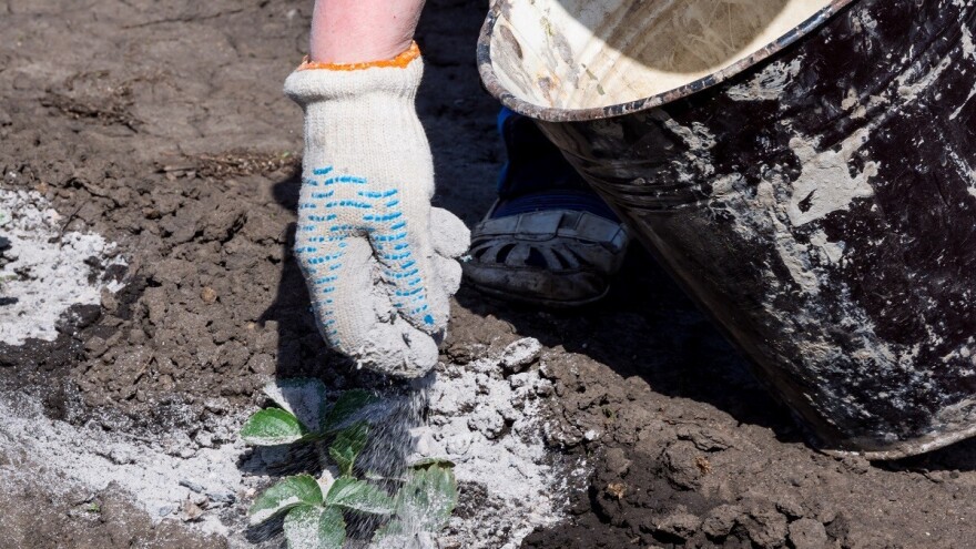 Zašto je dobar i za šta se sve koristi pepeo?