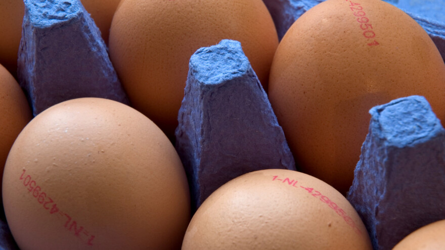 Šta govore oznake na jajima?