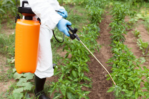 Može li hrvatska poljoprivreda bez pesticida?