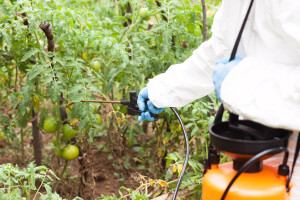 Profesionalni korisnici pesticida moraće da prođu obuku